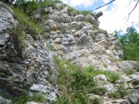 IMG_8567.jpg